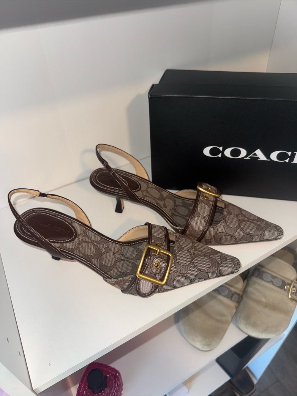 Coach Brown Logo Pointed Slingback Flats with Gold Buckle - Picture 3 of 6